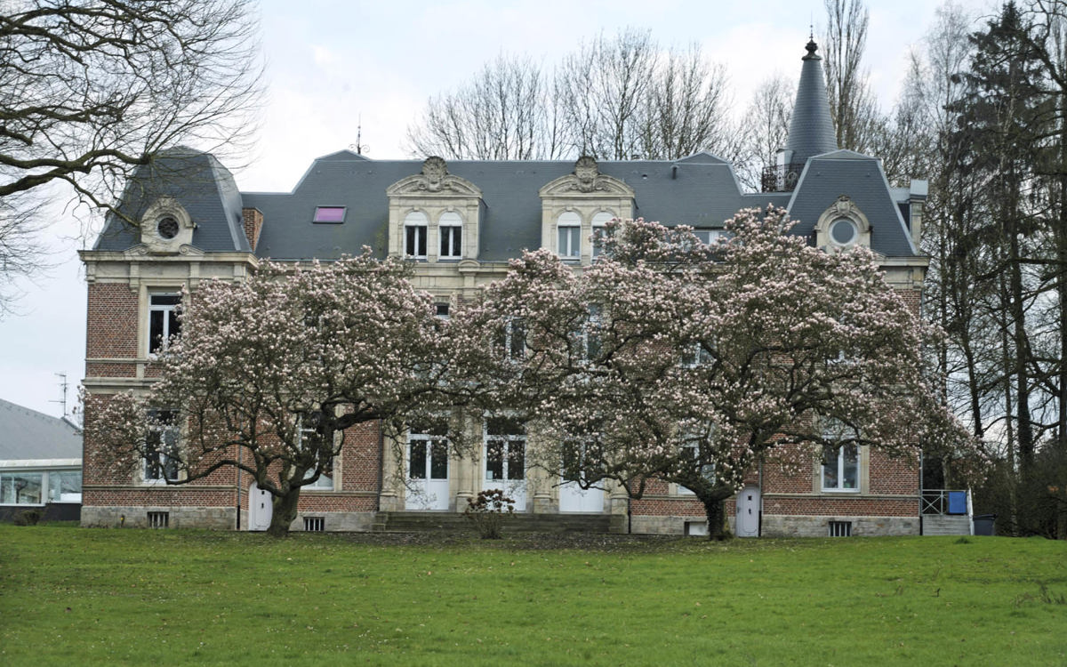 Château ardoise de toiture Cedral