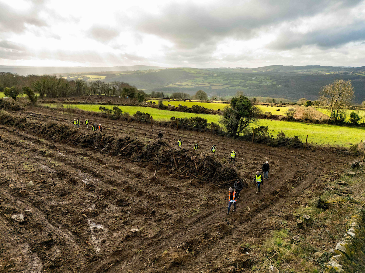 The first Guaranteed Irish Forest of native trees is secured