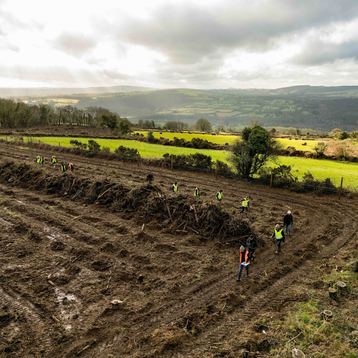 Cedral Ireland partners with Guaranteed Irish to plant First Guaranteed Irish Forest 